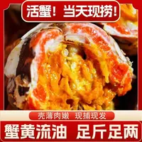 【活蟹】精品大闸蟹公母蟹4.5-4.2两8只装(公4只 母4只)螃蟹礼盒a