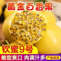  正宗钦蜜9号鲜果黄金百香果大果新鲜现摘百香果O