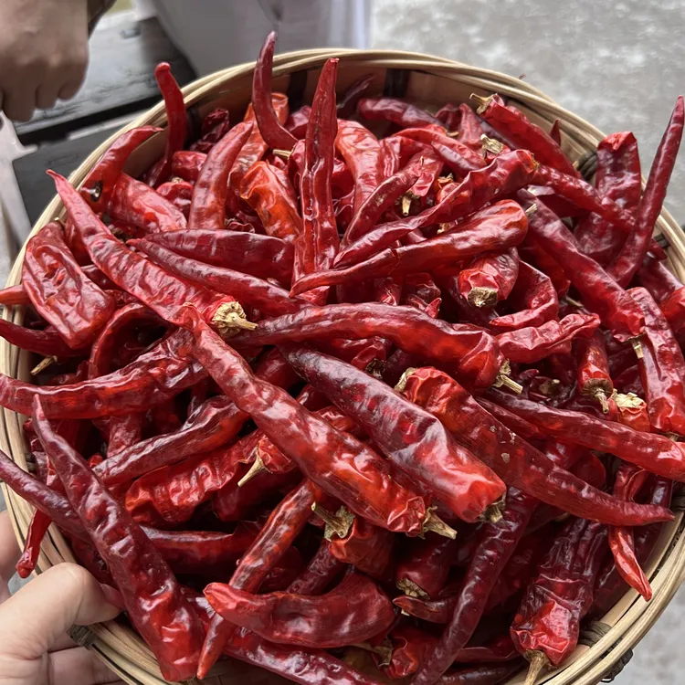湖南辣椒农家自种辣椒，不打农药不打催熟，自然晒干，一斤一袋