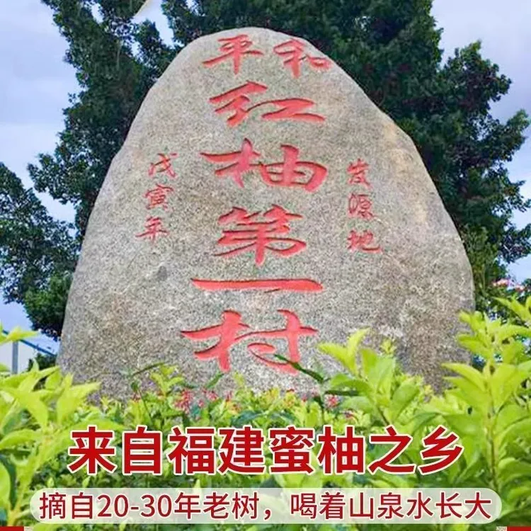 福建平和琯溪蜜柚原产地发货9-10斤包邮