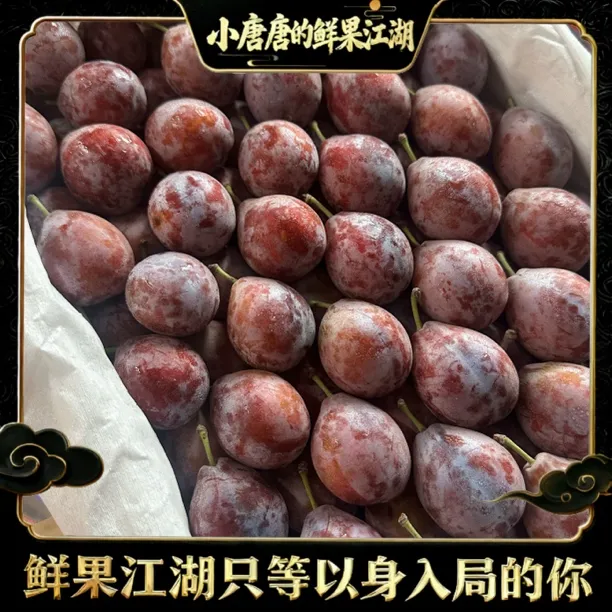 【小唐甄选】法兰西西梅新疆伽师产区香甜爆汁特级/一级