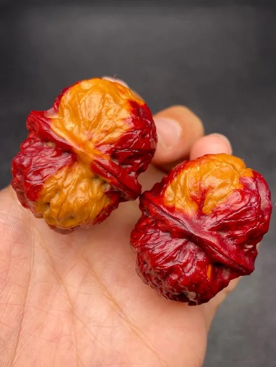 云南铁核桃 文玩核桃 39-40尺七彩疙瘩包发货图片同款随机一对