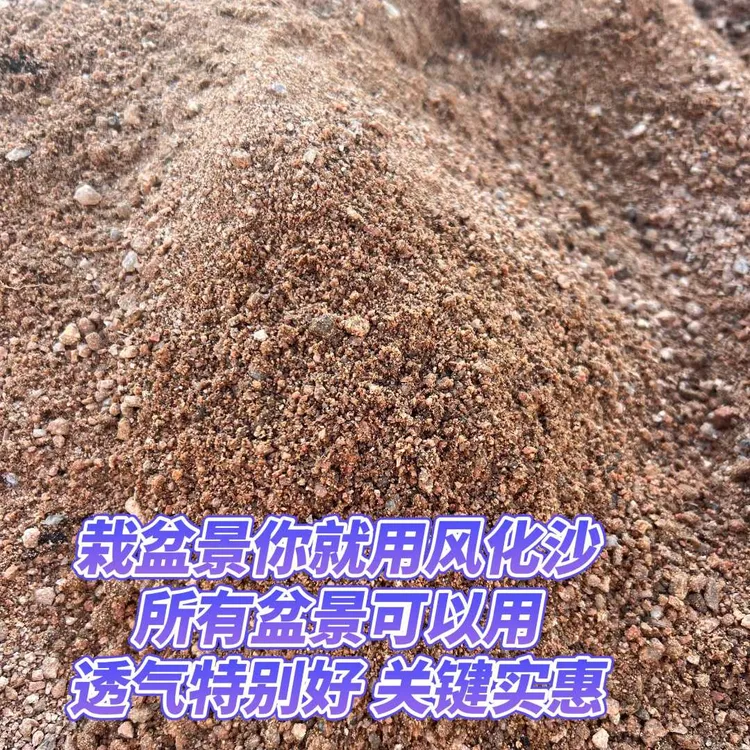 风化砂盆景风化砂松柏专用提高成活率透气保水性好提高生长质量