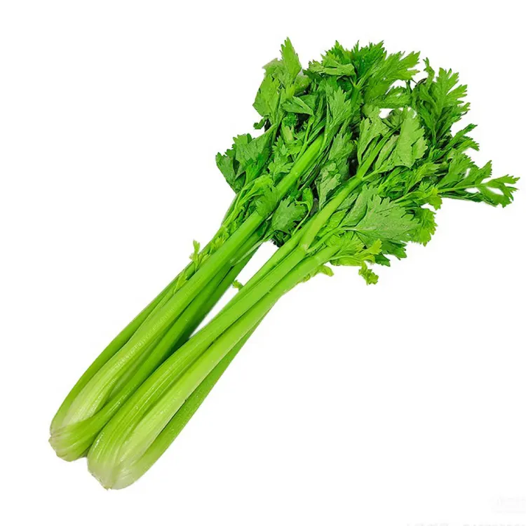 富贵FG 带叶西芹玻璃翠 河南头茬露天西芹5斤装