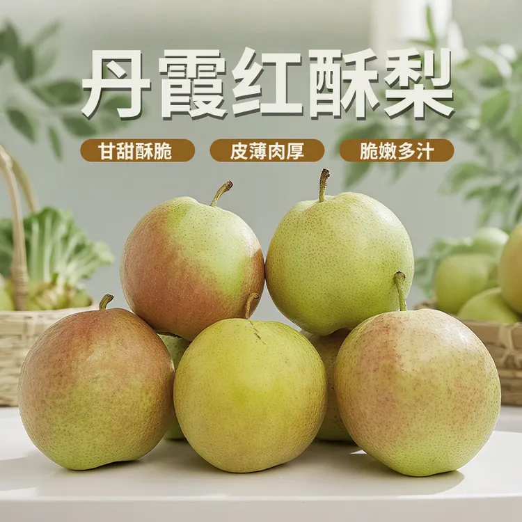 山西运城丹霞红香梨水蜜梨皮薄核小细腻化渣甘甜爆汁京东包邮