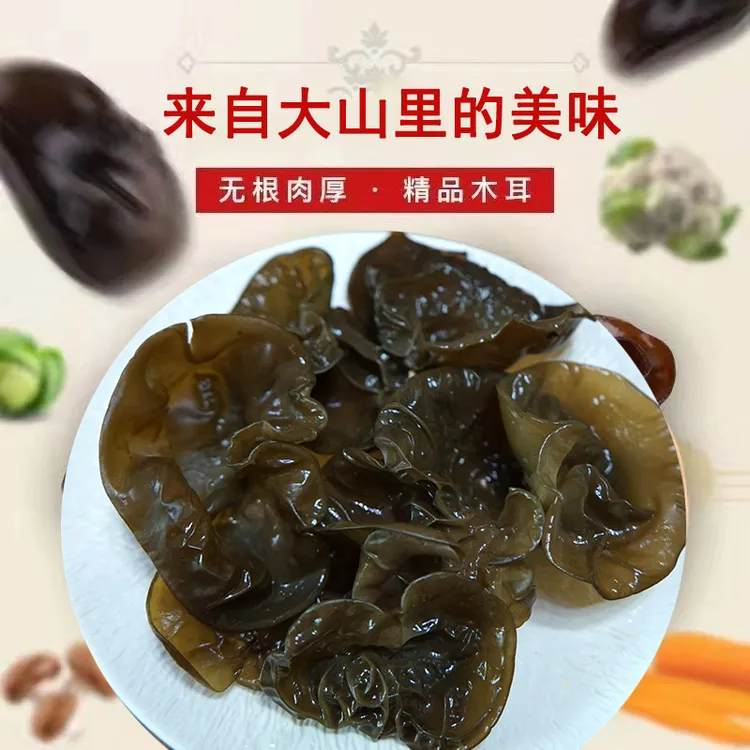 东北美食头茬黑木耳朵大无根肉厚筋道脆嫩长白山黑木耳产地直发