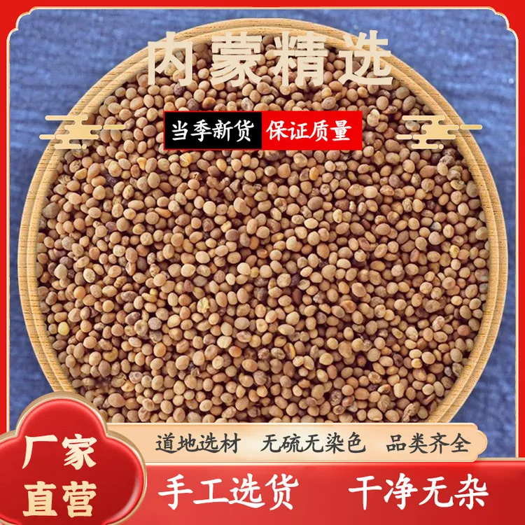 正品精选水洗菟小丝子产地精选泡茶代加工食用农产品内蒙古丝子2