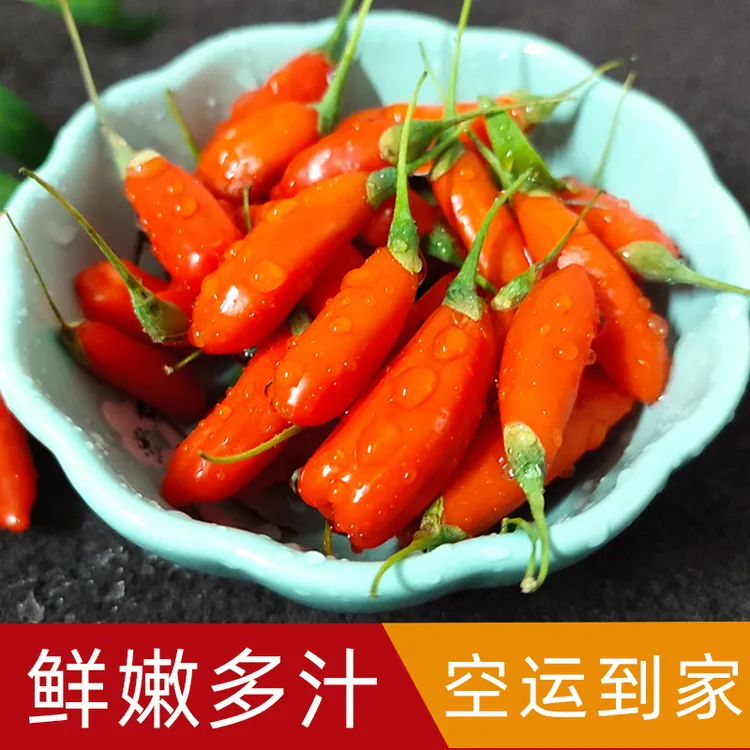 现摘新鲜枸杞子鲜果宁夏正宗特级即食鲜构杞大果高端礼盒空运