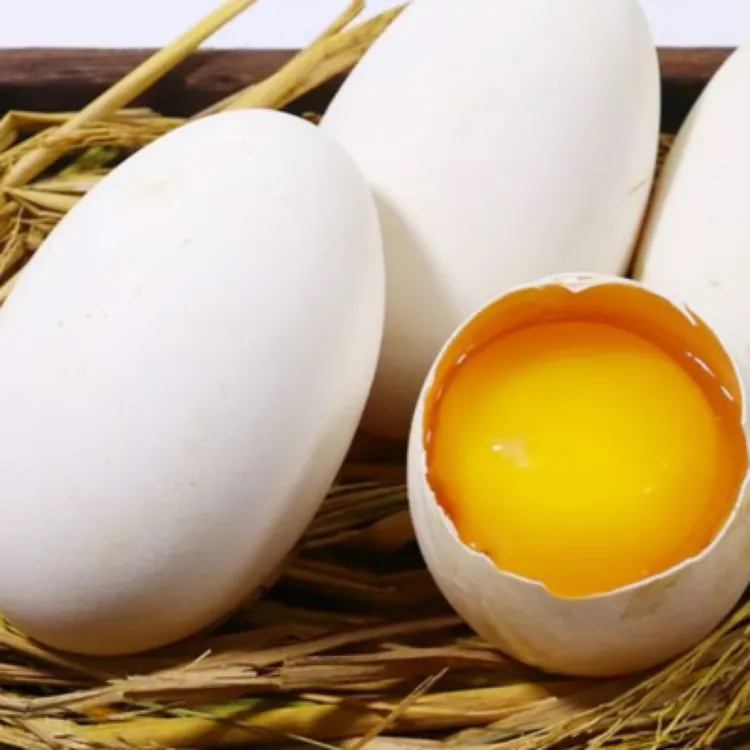 东北散养笨鹅蛋：