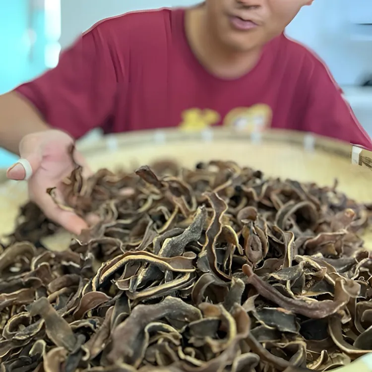 广东狗儿豆干狗爪豆老虎豆干特产客家特产去皮毛毛豆