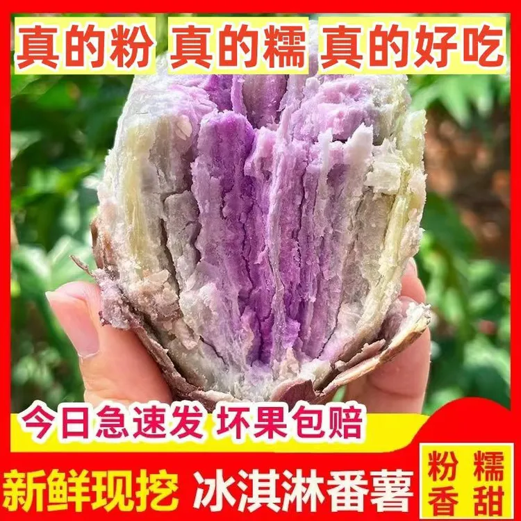 广东高州沙地冰淇淋一点红紫心番薯新鲜现挖现发花心地瓜