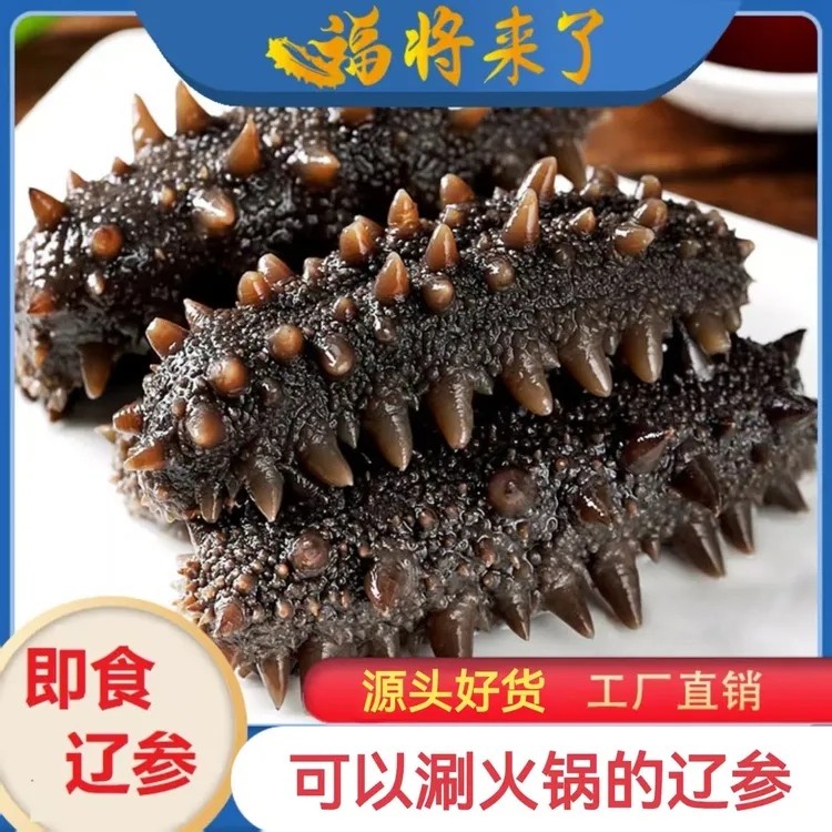 福匠13-15头规格3斤正宗大连辽参品质鲜蒸即食海参新鲜海参