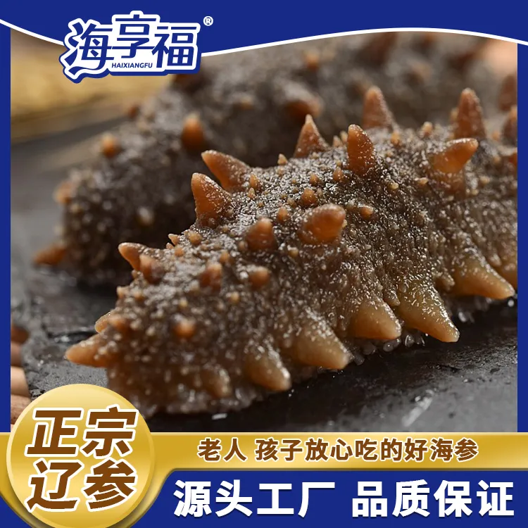 正宗大连辽刺参即食海参大连辽参鲜食海参海享福大连海参开袋即食