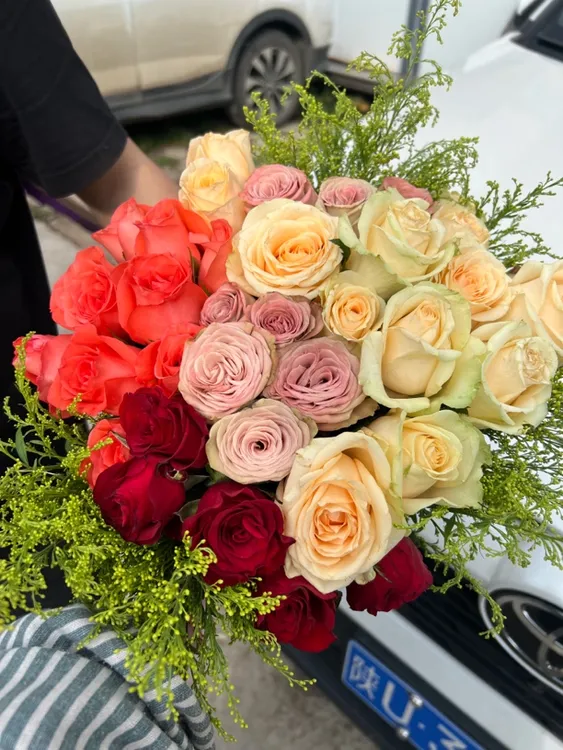 高原红5支+影星粉色玫瑰10支+香槟15支+卡布奇诺10支共40支送草