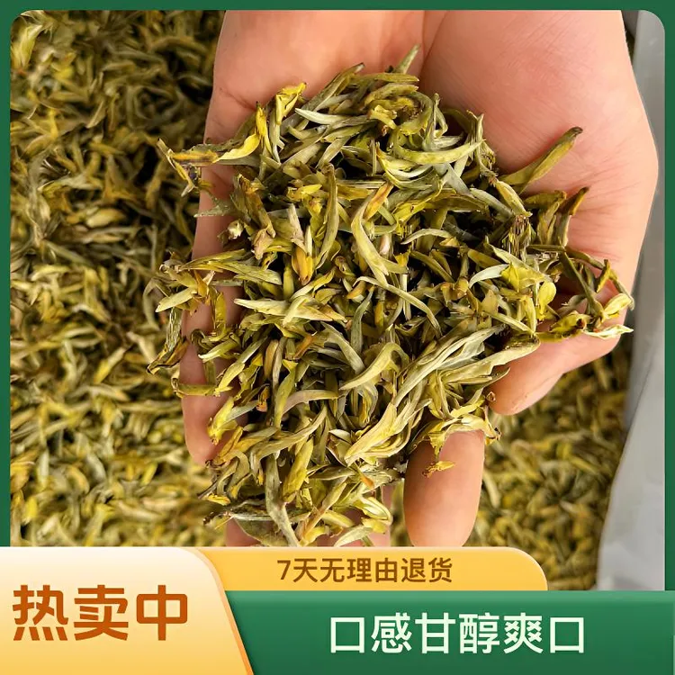 2025年头春头采老春茶小米芽
