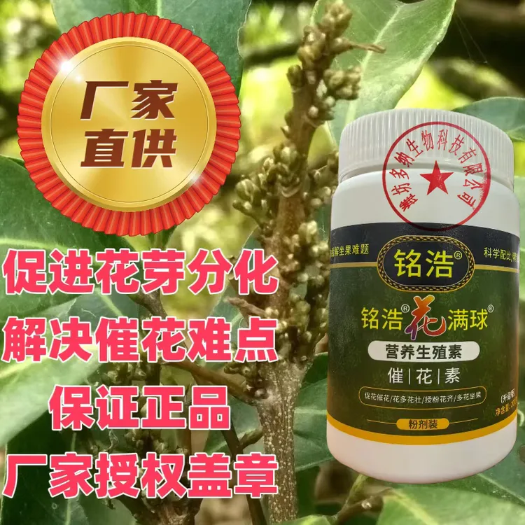 铭浩 花满球  催花素促进生殖生长花芽分化  村长推荐