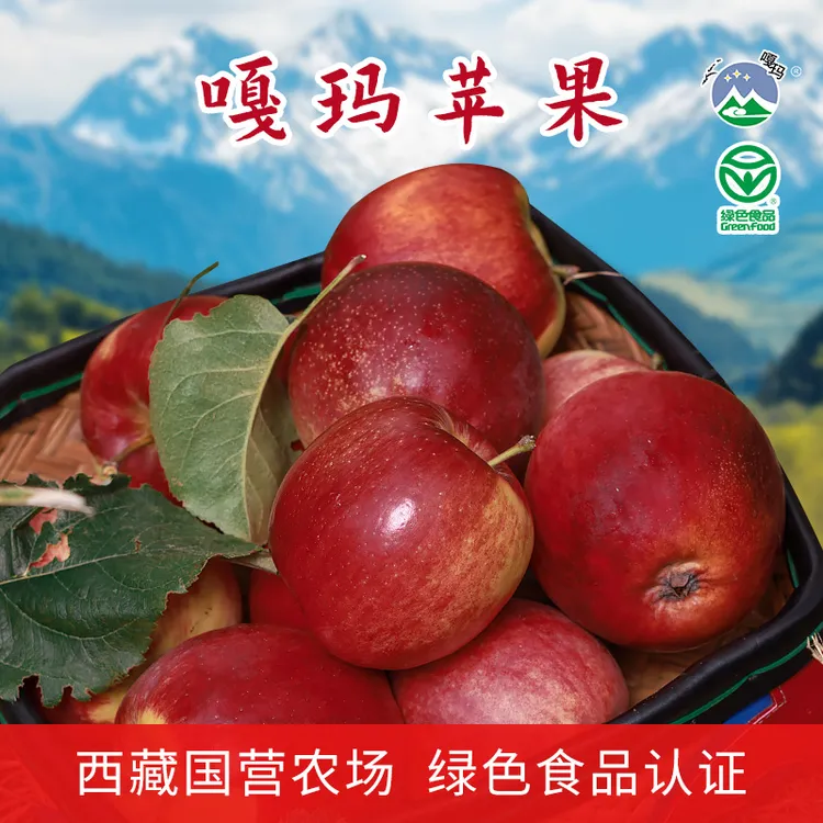 西藏林芝嘎玛农场苹果高原红脆甜多汁现摘现发