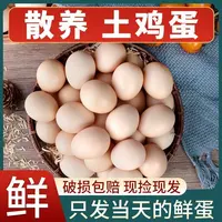 50枚农家新鲜散养土鸡蛋农村鸡蛋现捡整箱