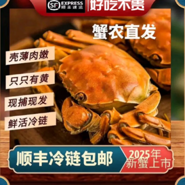 盘锦公蟹0.9-1.2两1.5/2.2斤14只/20只左右包邮