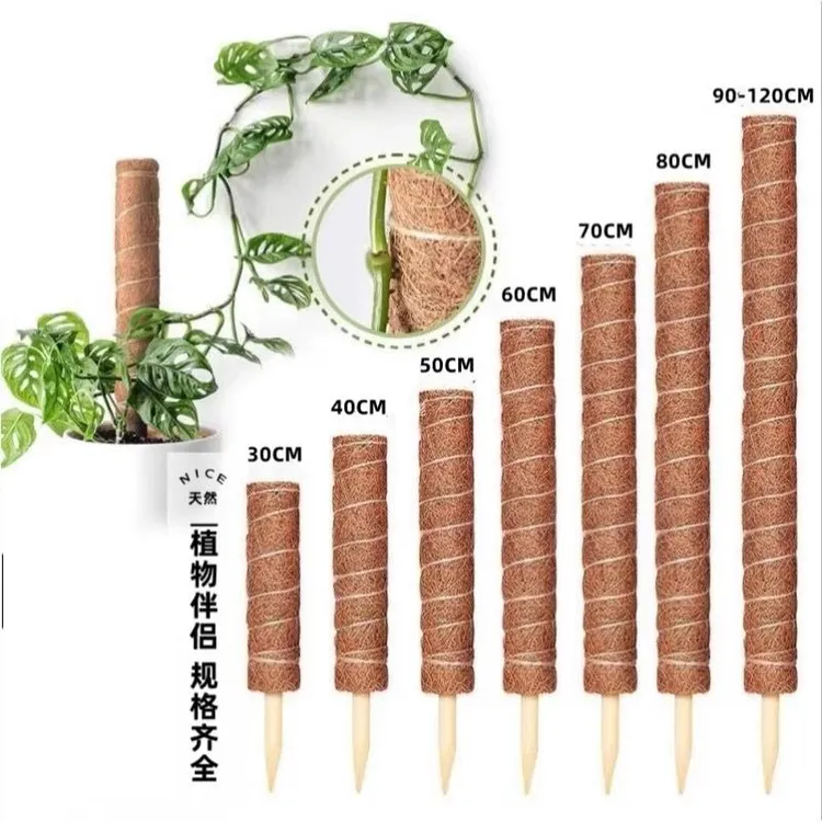 绿箩攀爬柱椰棕棒龟背竹支撑杆固定架植物爬藤花架棕榈皮椰丝苔藓