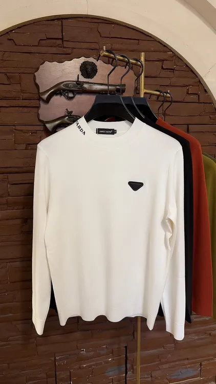 2025冬季男士修身型针织冬季长袖纯色高品质百搭休闲羊毛衫