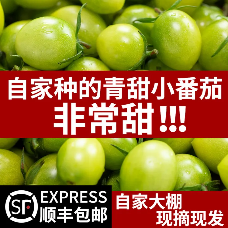 【顺丰包邮】青甜二号绿色小番茄山东寿光产地直发圣女果现摘西红柿