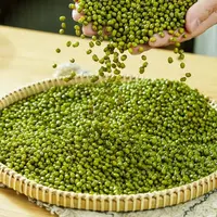 福利3斤农家自种薄皮绿豆汤绿豆粥可发芽笨绿豆农家绿豆食用1斤