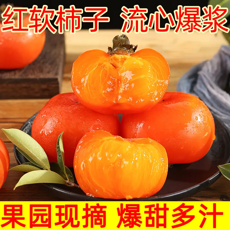 软柿子广西恭城月柿子应季新鲜放软吃的流心无核红柿子甜软多汁