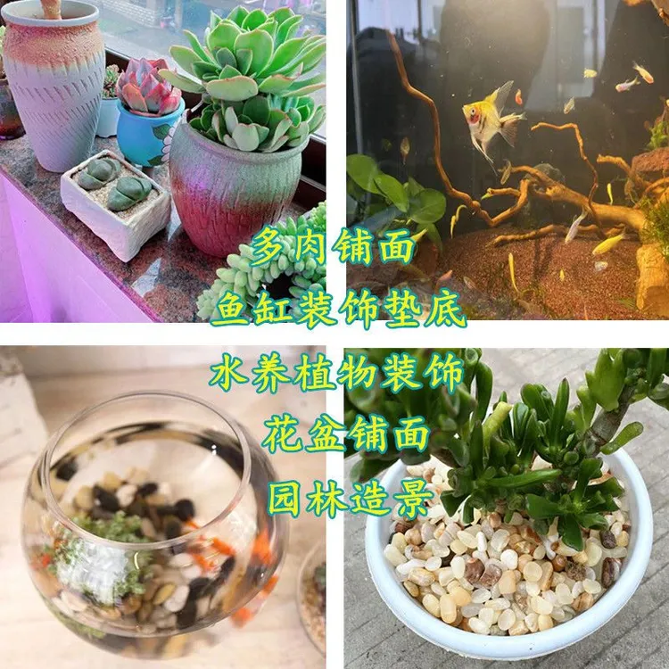 米黄玉石子鱼缸造景石供佛消磁米黄玉石子鱼缸底砂铺面石子5斤装