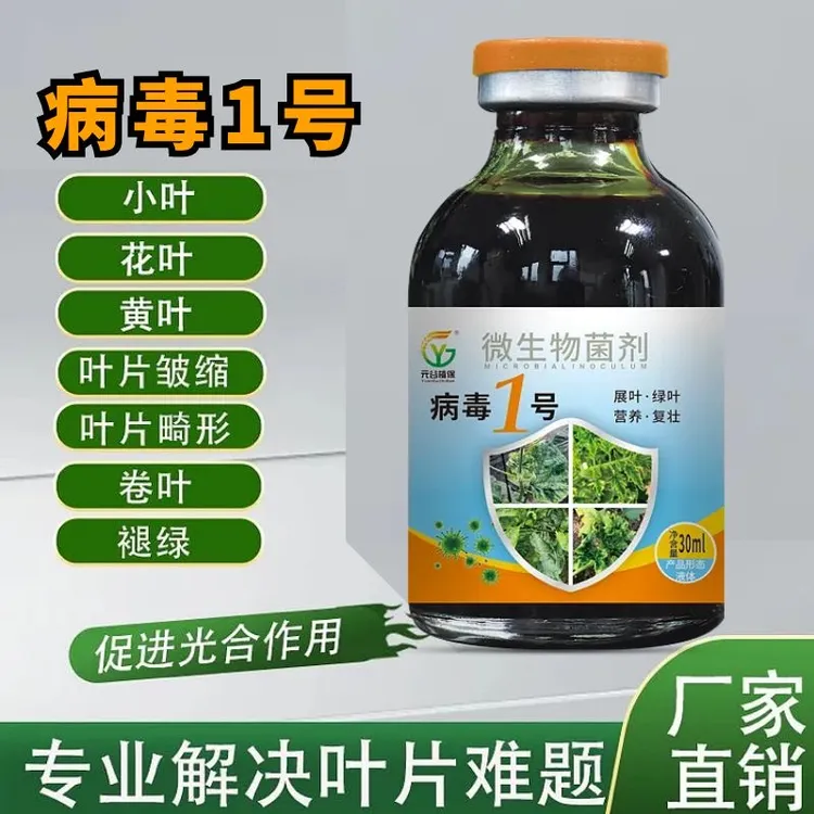 病毒1号辣椒西红柿卷叶小叶黄叶退绿病毒病病毒一遍净黄点病花叶