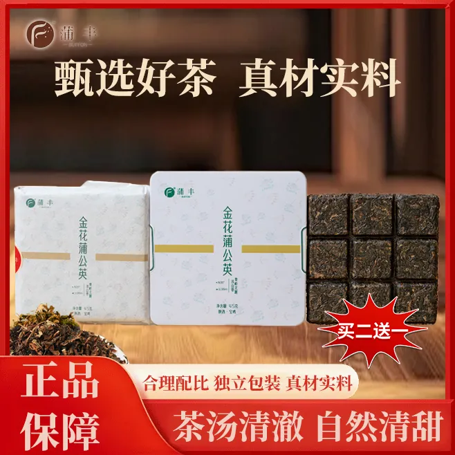 蒲丰【买2送1】金花蒲公英茶清香灭火优选免洗新鲜蒲公英冲泡丁茶叶