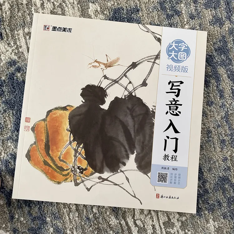 写意入门教程花鸟画 大字大图视频版 山水 国画没骨入门 工笔入门