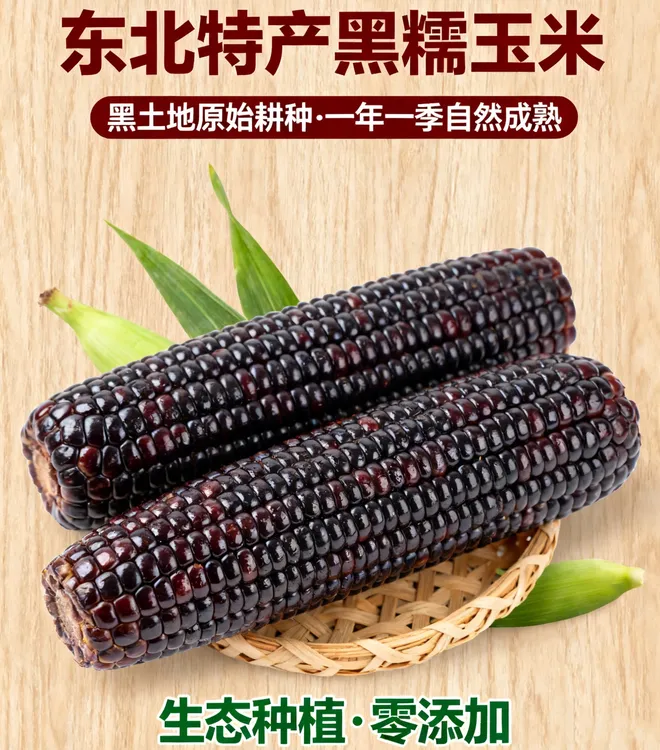 东北头茬甜糯黑糯玉米独立真空包装新鲜紫玉米富含花青素营养早餐