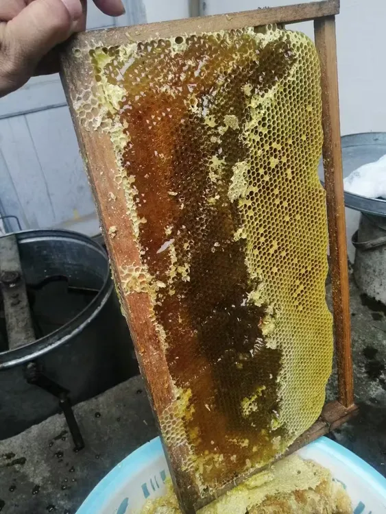 西岭雪山农户自产纯天然百花蜜山花蜜