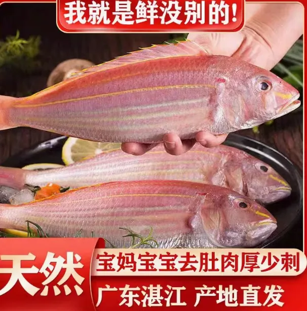 湛江海鲜 红杉鱼 买3送1红三鱼金线鱼 不添加海水精