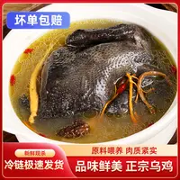 【共3只】乌鸡乌骨鸡新鲜现杀冷链运输总重约4.5-5.5斤净膛发货
