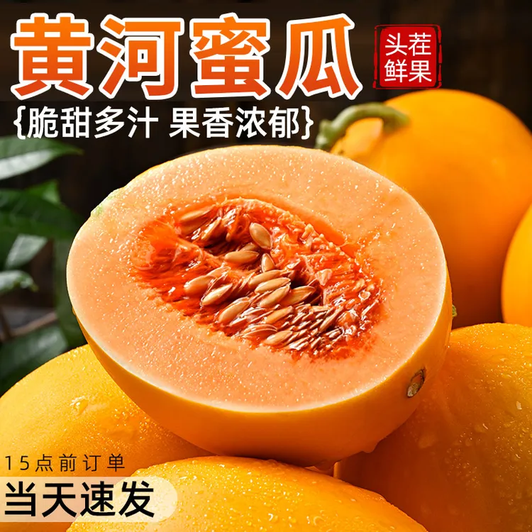 黄河蜜甜瓜新鲜水果应当季整箱包邮黄金脆香瓜哈密瓜斤甘肃民勤10