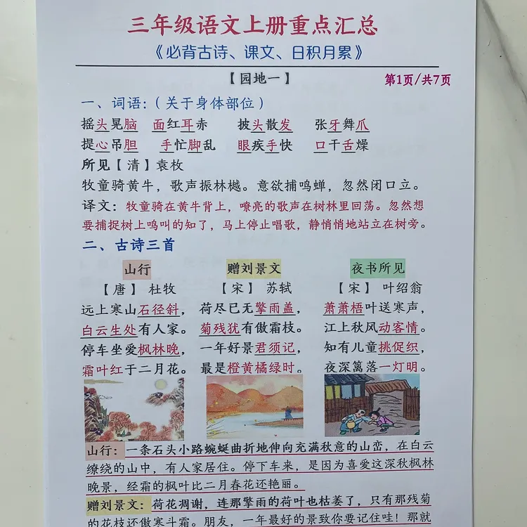 三年级语文上册必背知识重点+课内重点仿写句子