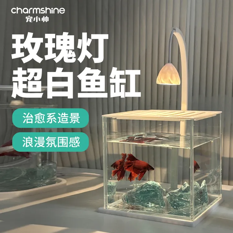 宠小帅超清斗鱼缸创意装饰微景缸客厅小型桌面缸玫瑰灯造景玻璃缸