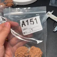 核桃摆件哈哈哈哈