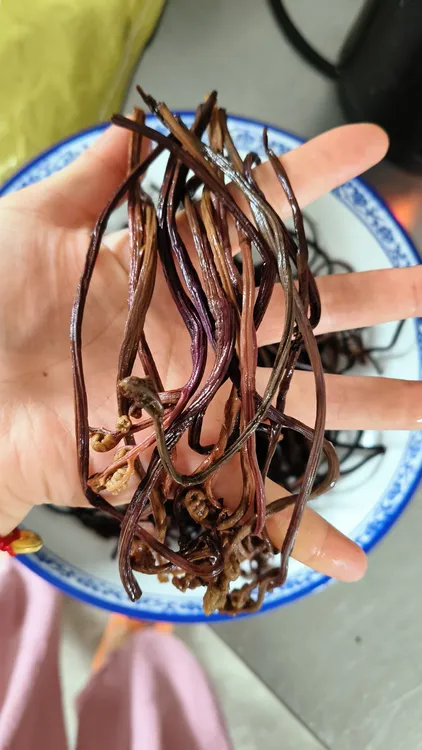 黄山特产农家自制蕨菜干