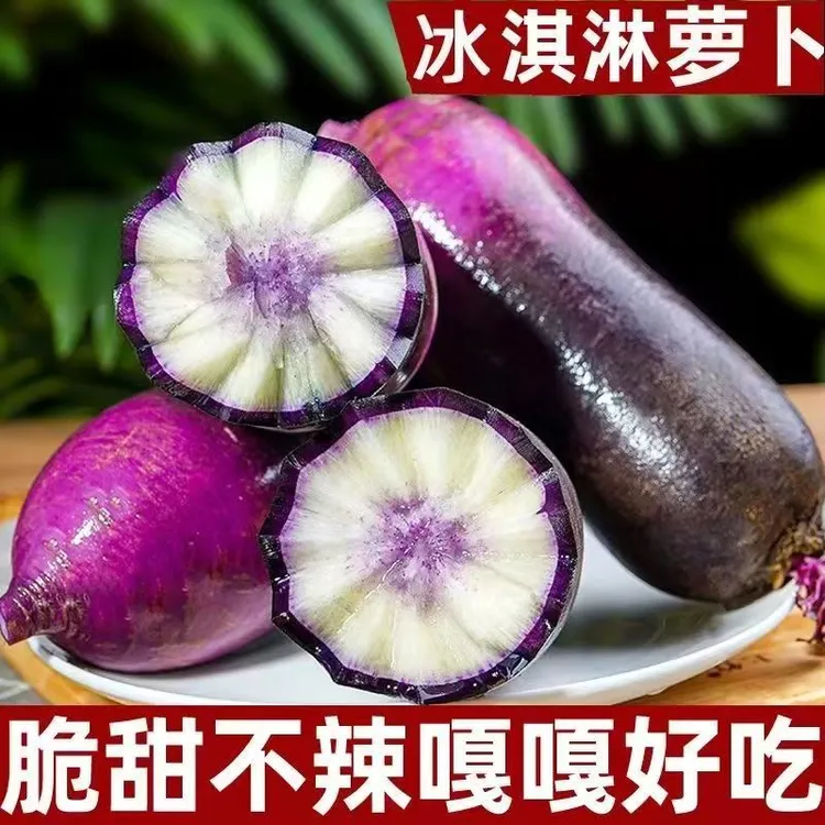 正宗山东冰淇淋冰激凌冰糖心甜脆爽口紫皮现拔生吃潍坊水果萝卜