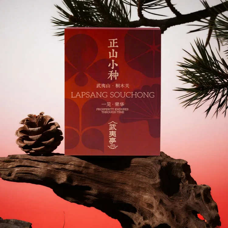 武夷亭桐木关正山小种90g内置单独泡袋包装