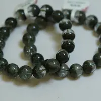 ZBZ-B19半盆绿幽灵8-12mm+（多样性发其一 撕标签不退换）