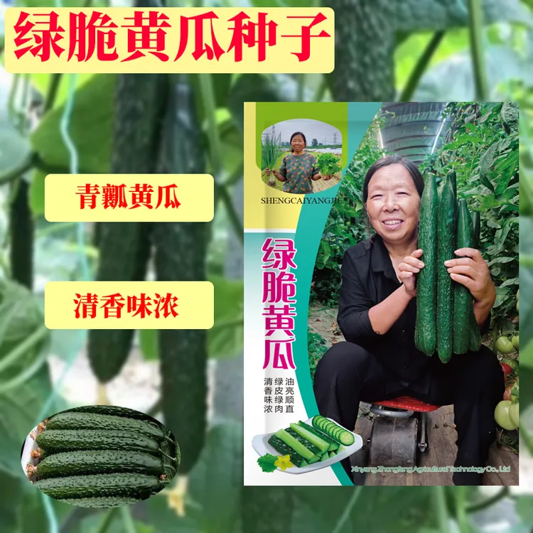 【杨姐推荐】黄瓜种子绿皮甜脆嫩绿黄瓜节节有瓜绿刺黄瓜蔬菜种子