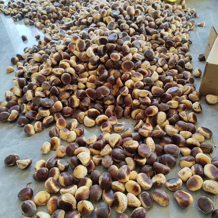 【信阳棕壳大板栗】好剥皮信阳大别山板栗香甜粉糯栗子健康小零食