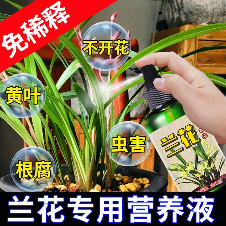 墨兰花专用营养液防叶黄干尖黑斑茎腐枯萎快速生根爆芽专用肥料