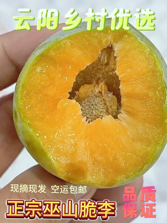 正宗巫山脆李   巫山曲尺核心产区  净重4.5~5.斤 原产地现摘现发