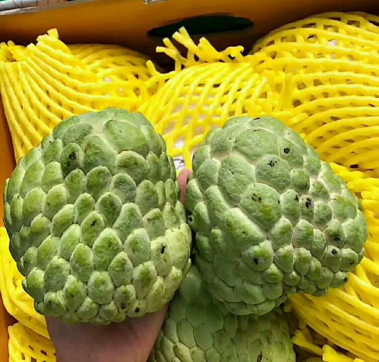 现货当季泰国凤梨释迦果番荔枝新鲜水果1-4斤装 常温放熟顺丰