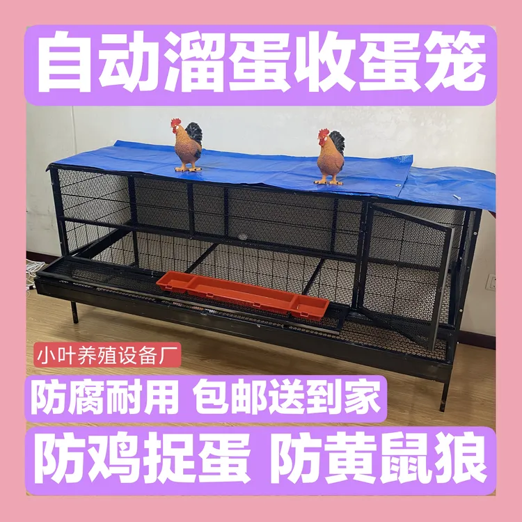 户外鸡笼家用鸡笼笼户外家禽养殖加密加厚防鼠黄鼠狼自动收纳鸡蛋